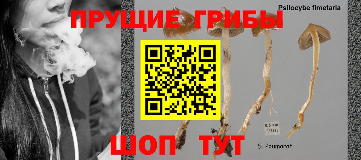 Галлюциногенные грибы MAGIC MUSHROOMS Крымск